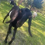 Nad Wkra Popielzyn Gorny