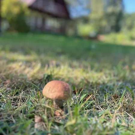 Nad Wkra Σπίτι διακοπών *